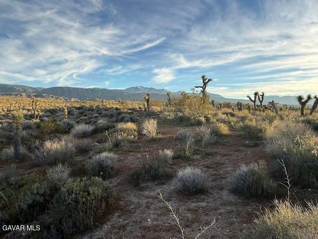 220 E Avenue X, Llano, CA 93544