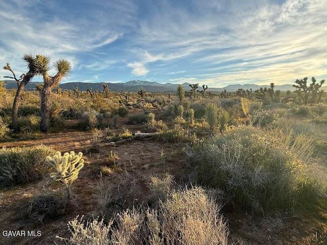 220 E Avenue X, Llano, CA 93544