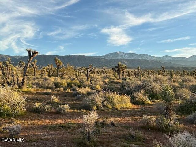 220 E Avenue X, Llano, CA 93544