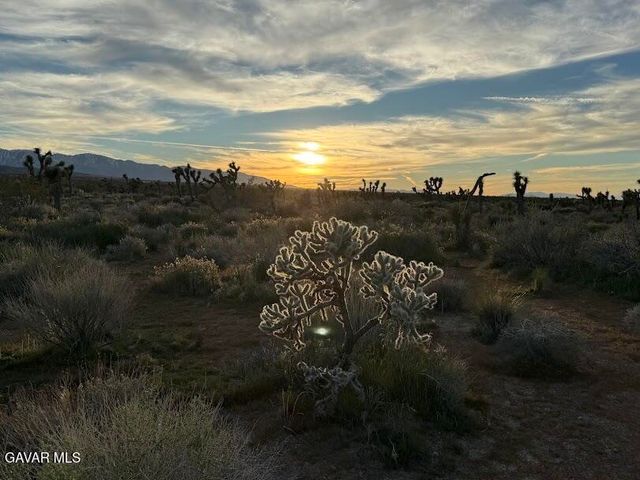 220 E Avenue X, Llano, CA 93544