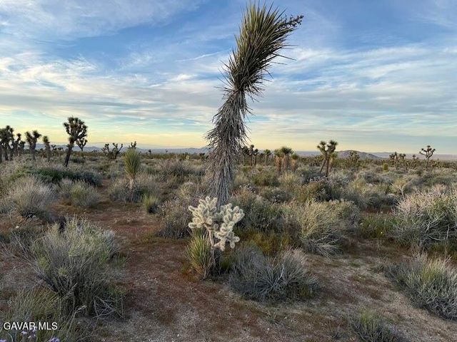 220 E Avenue X, Llano, CA 93544