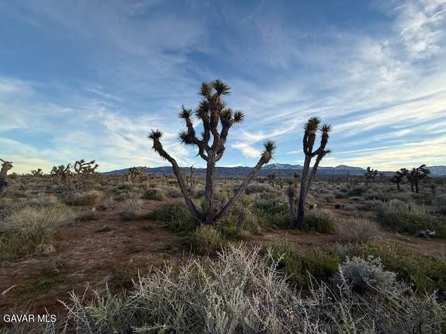 220 E Avenue X, Llano, CA 93544