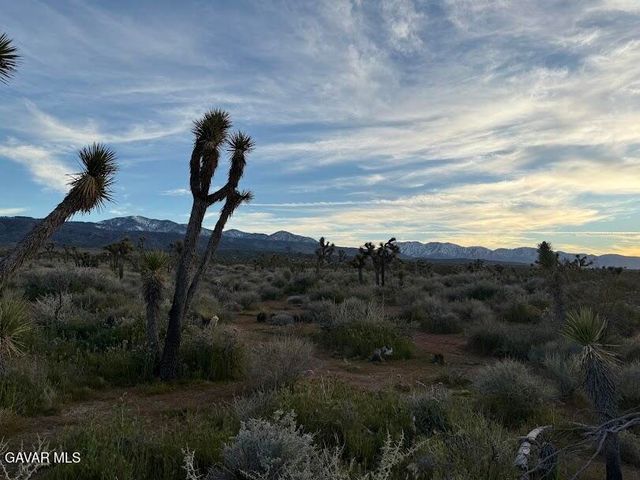 220 E Avenue X, Llano, CA 93544