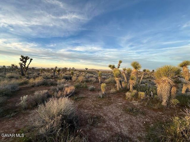 220 E Avenue X, Llano, CA 93544