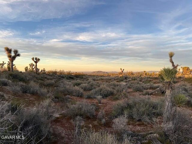 220 E Avenue X, Llano, CA 93544
