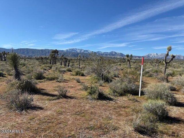 220 E Avenue X, Llano, CA 93544