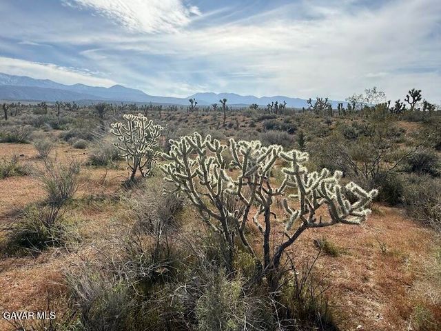 220 E Avenue X, Llano, CA 93544