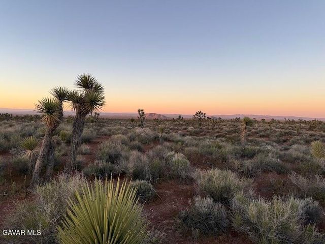 220 E Avenue X, Llano, CA 93544