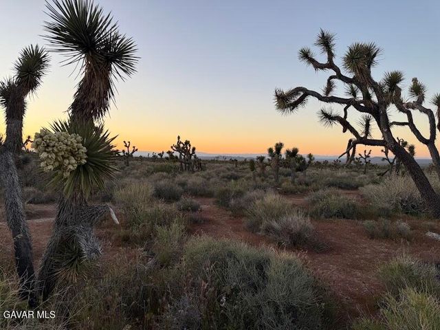 220 E Avenue X, Llano, CA 93544