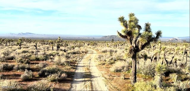 220 E Avenue X, Llano, CA 93544