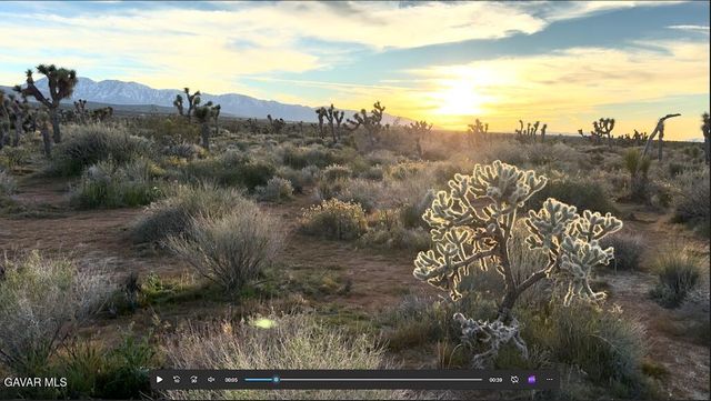 220 E Avenue X, Llano, CA 93544