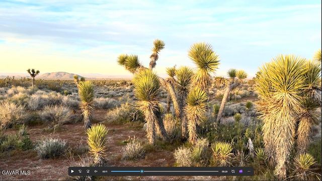 220 E Avenue X, Llano, CA 93544