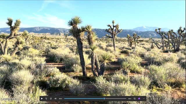220 E Avenue X, Llano, CA 93544