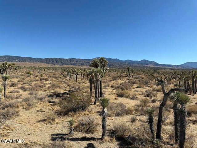 220 E Avenue X, Llano, CA 93544