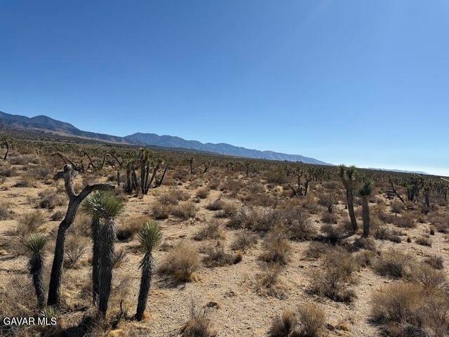 220 E Avenue X, Llano, CA 93544