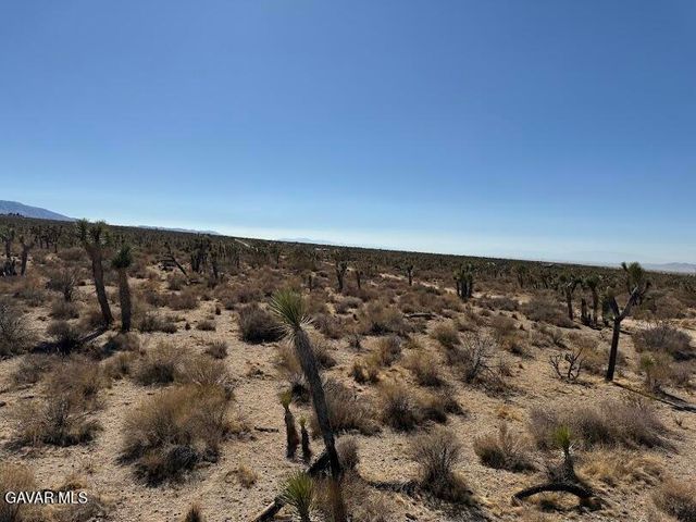 220 E Avenue X, Llano, CA 93544