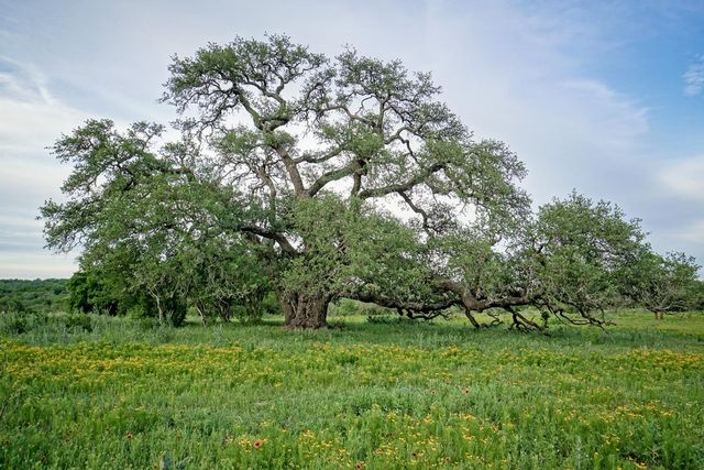 Lot 22 Legacy Ridge, Burnet, TX 78611