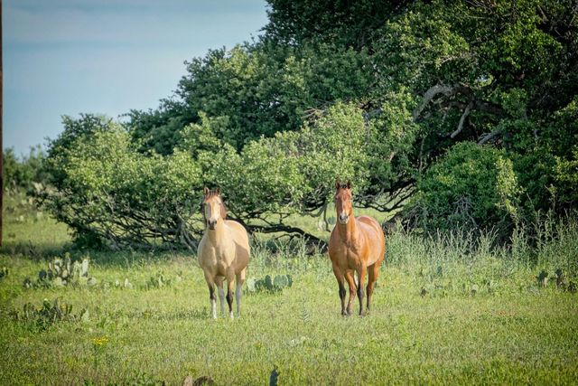 Lot 22 Legacy Ridge, Burnet, TX 78611