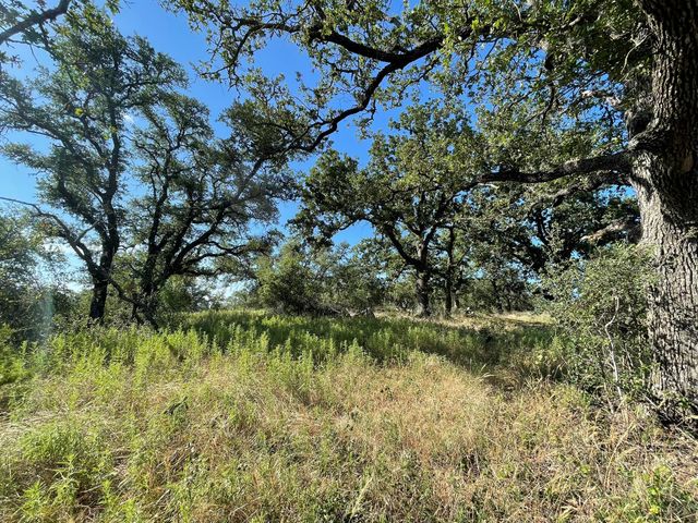 Lot 22 Legacy Ridge, Burnet, TX 78611