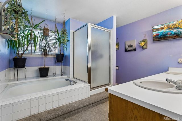 9383 Weeping Willow Court, Highlands Ranch, CO 80130