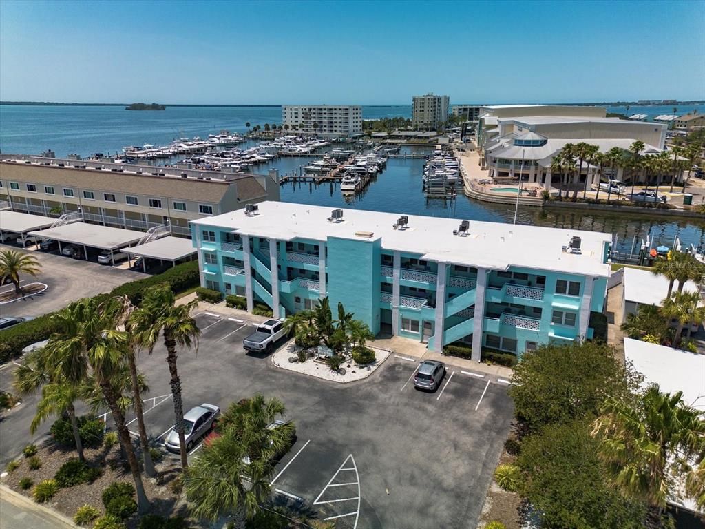 423 S PAULA DRIVE 203, Dunedin, FL 34698