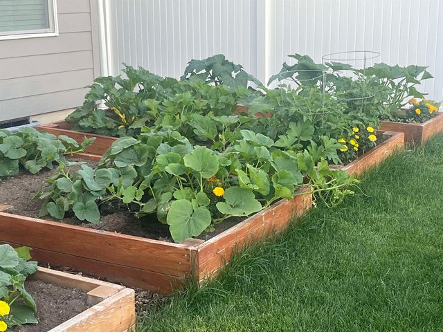 7106 S Hever St, Cheney, WA 99004