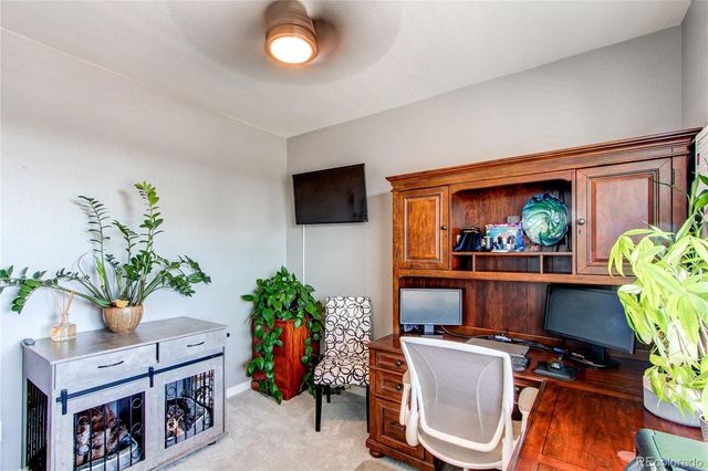 2227 Rosette Lane, Castle Rock, CO 80104