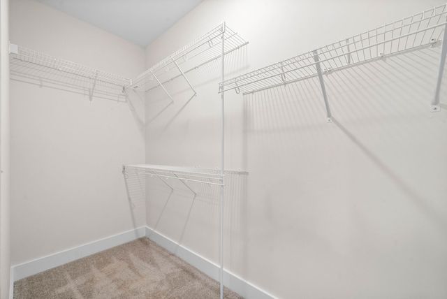 205 Wayne Hall Road, Clarksville, TN 37040