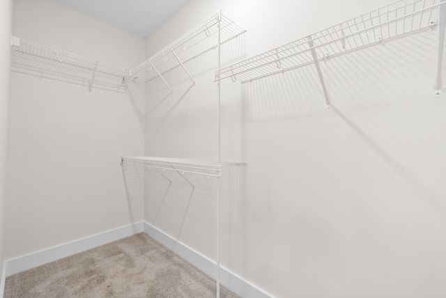 205 Wayne Hall Road, Clarksville, TN 37040