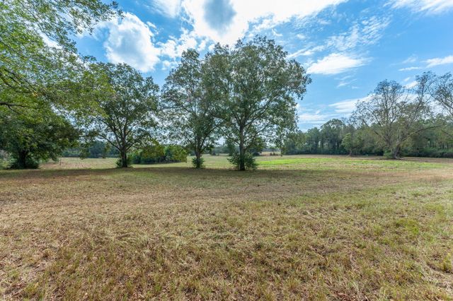 3 Acre -E Prescott Rd, Florala, AL 36442