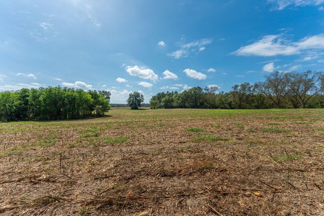 3 Acre -E Prescott Rd, Florala, AL 36442