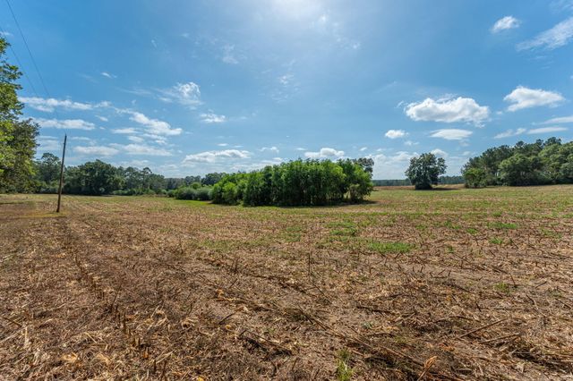 3 Acre -E Prescott Rd, Florala, AL 36442