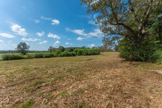 3 Acre -E Prescott Rd, Florala, AL 36442