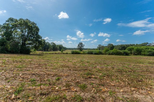 3 Acre -E Prescott Rd, Florala, AL 36442