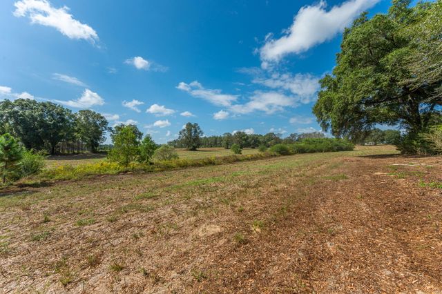 3 Acre -E Prescott Rd, Florala, AL 36442