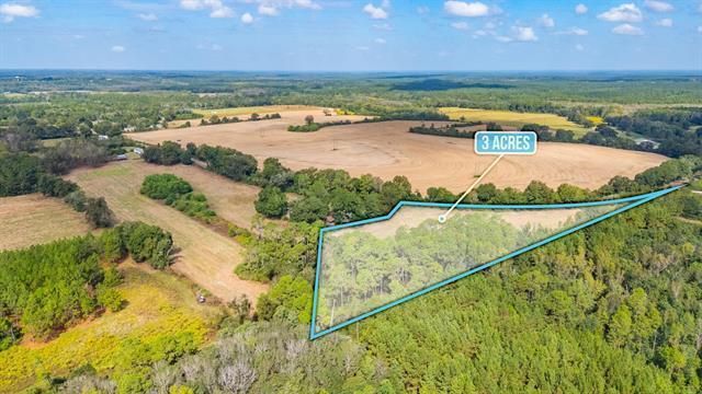 3 Acre -E Prescott Rd, Florala, AL 36442