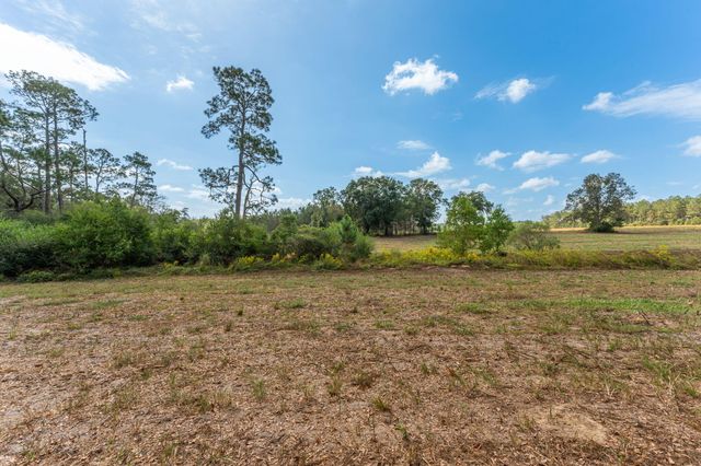 3 Acre -E Prescott Rd, Florala, AL 36442
