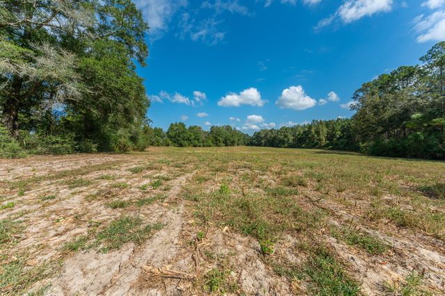 3 Acre -E Prescott Rd, Florala, AL 36442
