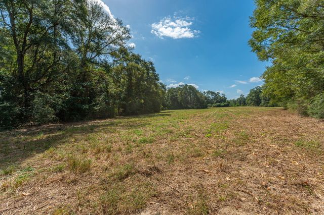 3 Acre -E Prescott Rd, Florala, AL 36442