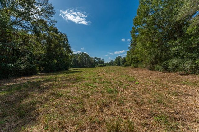 3 Acre -E Prescott Rd, Florala, AL 36442
