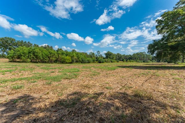 3 Acre -E Prescott Rd, Florala, AL 36442
