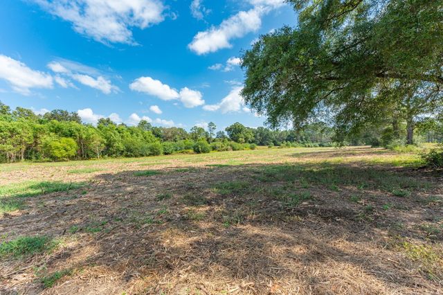 3 Acre -E Prescott Rd, Florala, AL 36442