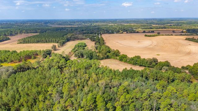 3 Acre -E Prescott Rd, Florala, AL 36442