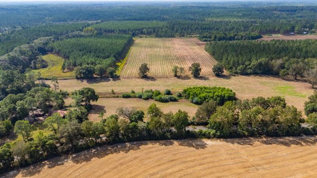 3 Acre -E Prescott Rd, Florala, AL 36442