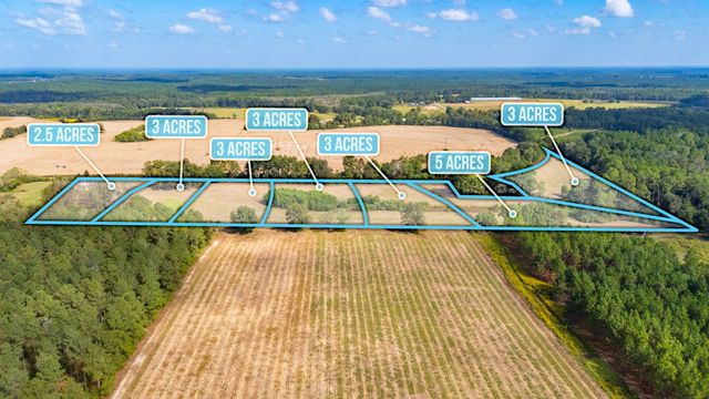 3 Acre -E Prescott Rd, Florala, AL 36442