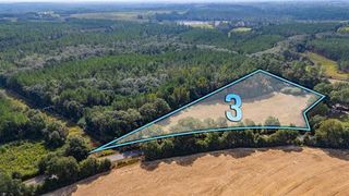 3 Acre -E Prescott Rd, Florala, AL 36442