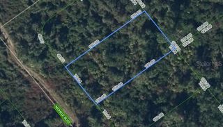 455 NICHELE BOULEVARD, Lake Placid, FL 33852