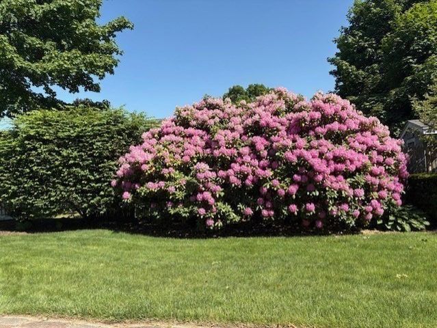 1566 Main Street, Walpole, MA 02081