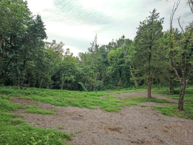 6448 Nathan Smith Rd, College Grove, TN 37046
