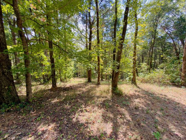 0 Ford Ln, Bradyville, TN 37026